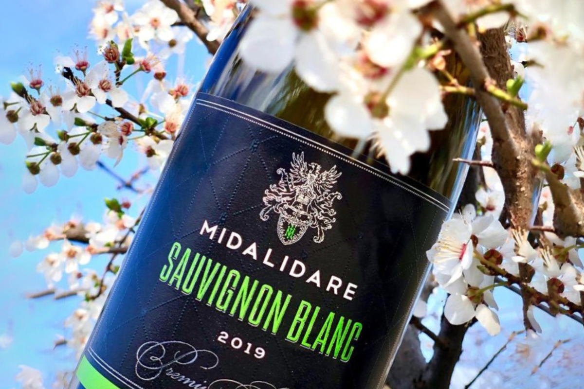 Midalidare Sauvignon Blanc Premium Selection